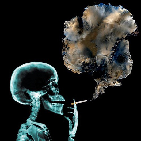 460>_3299357